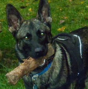 Meet your Posher, Aneta